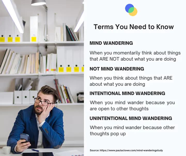 Terms You Need to Know for Mind Wandering Dr Paula's Study