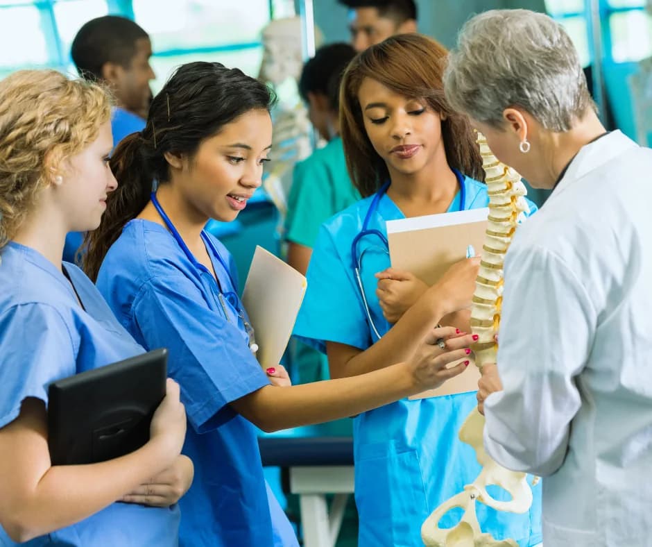 Nursing students in clinical placement